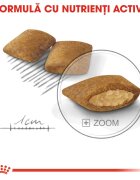 Royal Canin Mini Exigent hrană uscată câini apetit capricios 1kg