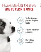 Royal Canin Mini Puppy hrană umedă câini junior (în sos) 85g