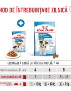 Royal Canin Mini Puppy hrană umedă câini junior (în sos) 85g