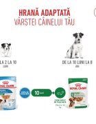 Royal Canin Mini Puppy hrană umedă câini junior (în sos) 85g