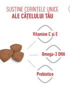 Royal Canin Mini Puppy hrană uscată câini junior 2kg