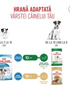Royal Canin Mini Puppy hrană uscată câini junior 2kg