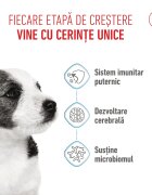 Royal Canin Mini Puppy hrană uscată câini junior 800g