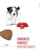 Royal Canin Mini Puppy hrană uscată câini junior 800g