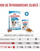 Royal Canin Mini Puppy hrană uscată câini junior 800g