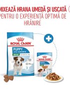 Royal Canin Mini Puppy hrană uscată câini junior 800g