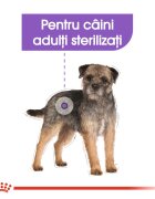 Royal Canin Mini Sterilised Adult hrană uscată câini sterilizați 1kg