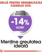 Royal Canin Mini Sterilised Adult hrană uscată câini sterilizați 1kg