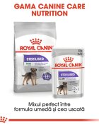 Royal Canin Mini Sterilised Adult hrană uscată câini sterilizați 1kg