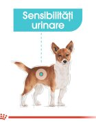 Royal Canin Mini Urinary Care hrană uscată câini sănătatea tractului urinar 1kg