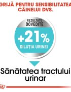 Royal Canin Mini Urinary Care hrană uscată câini sănătatea tractului urinar 1kg