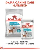 Royal Canin Mini Urinary Care hrană uscată câini sănătatea tractului urinar 1kg