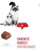 Royal Canin Mother & BabyCat hrană uscată pisici mama și puiul 400g