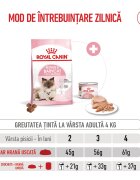 Royal Canin Mother & BabyCat hrană uscată pisici mama și puiul 400g