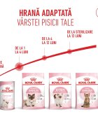 Royal Canin Mother & BabyCat hrană uscată pisici mama și puiul 400g