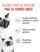 Royal Canin Mother & BabyCat hrană uscată pisici mama și puiul 4kg