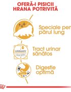 Royal Canin Persian Adult hrană umedă pisici (pate) 85g