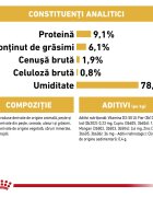 Royal Canin Persian Adult hrană umedă pisici (pate) 85g