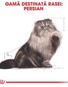 Royal Canin Persian Adult hrană umedă pisici (pate) bax 85g x 12buc
