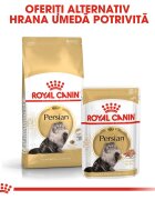 Royal Canin Persian Adult hrană umedă pisici (pate) bax 85g x 12buc