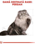 Royal Canin Persian Adult hrană uscată pisici 10kg