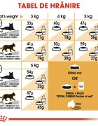 Royal Canin Persian Adult hrană uscată pisici 2kg