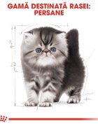 Royal Canin Persian Kitten hrană uscată pisici junior 2kg