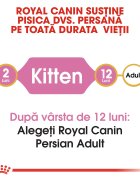 Royal Canin Persian Kitten hrană uscată pisici junior 2kg
