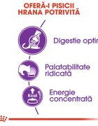 Royal Canin Sensible Adult hrană uscată pisici digestie optimă 10kg