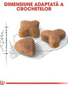 Royal Canin Sensible Adult hrană uscată pisici digestie optimă 10kg