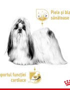 Royal Canin Shih Tzu Adult hrană umedă câini (pate) bax 85g x 12buc