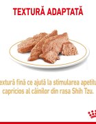 Royal Canin Shih Tzu Adult hrană umedă câini (pate) bax 85g x 12buc