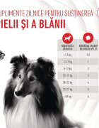 Royal Canin Skin & Coat chews Adult Supplements punguță recompense funcționale câini piele & blană 240g