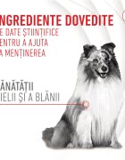 Royal Canin Skin & Coat chews Adult Supplements punguță recompense funcționale câini piele & blană 240g