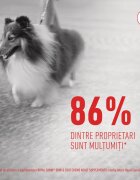 Royal Canin Skin & Coat chews Adult Supplements punguță recompense funcționale câini piele & blană 240g