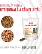 Royal Canin Skin & Coat chews Adult Supplements punguță recompense funcționale câini piele & blană 240g