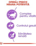 Royal Canin Sterilised 7+ hrană uscată pisici sterilizate 10kg