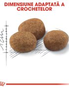 Royal Canin Sterilised 7+ hrană uscată pisici sterilizate 10kg
