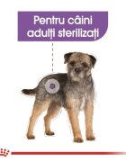 Royal Canin Sterilised Adult hrană umedă câini sterilizați (pate) 85g
