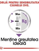 Royal Canin Sterilised Adult hrană umedă câini sterilizați (pate) bax 85g x 12buc