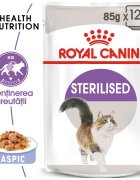 Royal Canin Sterilised Adult hrană umedă pisici sterilizate (în aspic) bax 85g x 12buc