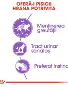 Royal Canin Sterilised Adult hrană umedă pisici sterilizate (în sos) bax 85g x 12buc