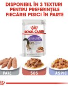 Royal Canin Sterilised Adult hrană umedă pisici sterilizate (în sos) bax 85g x 12buc