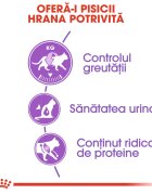 Royal Canin Sterilised Adult hrană uscată pisici sterilizate 10+2kg GRATUIT