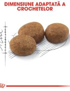Royal Canin Sterilised Adult hrană uscată pisici sterilizate 10+2kg GRATUIT