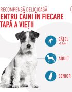 Royal Canin Training Treats recompense nutriționale pentru dresaj 110g