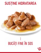 Royal Canin Urinary Care Adult hrană umedă pisici sănătatea tractului urinar (în sos) bax 85g x 12buc