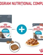 Royal Canin Urinary Care Adult hrană umedă pisici sănătatea tractului urinar (în sos) bax 85g x 12buc