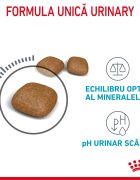 Royal Canin Urinary Care Adult hrană uscată pisici sănătatea tractului urinar 10kg