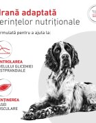 ROYAL CANIN VETERINARY DIET Glycobalance Low Carbohydrate XS-XL dietă veterinară conservă hrană umedă câini diabet (pate) 410g